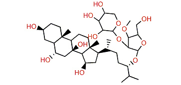 Oreasteroside E